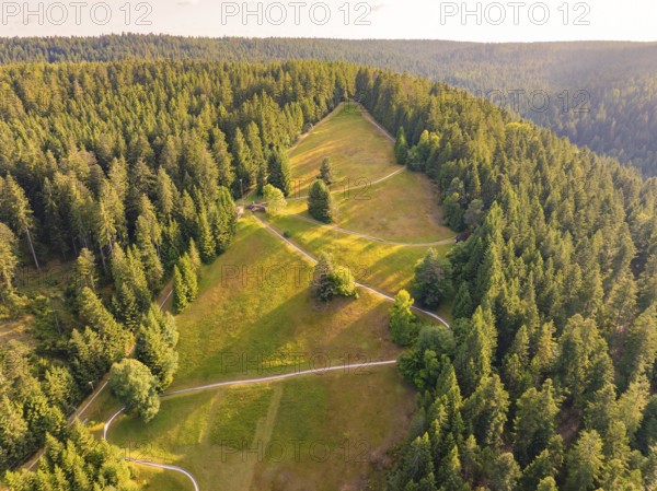 Wide view of a green forest landscape with meadow and paths, Retro Freizeitpark Poppeltal giant slide, Enzklösterle, Black Forest, Germany