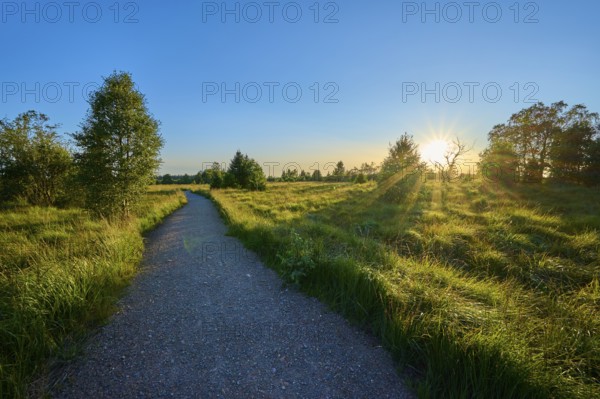 A path leads through nature, illuminated by the sun on the horizon, High Fens, Eifel, Liège, Belgium