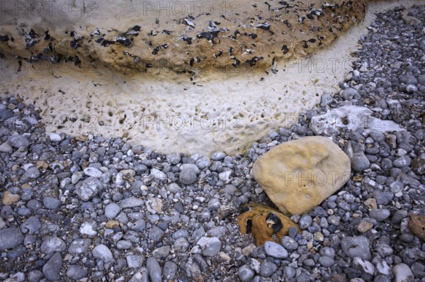 Rocks, geological rock structures, pebbles, pebbles, Yport, Alabaster Coast, La Côte d'Albâtre, Normandy, Seine-Maritime, France