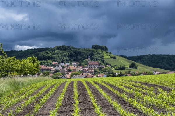 Dark clouds in the sky, Castell, Steigerwald nature park Park, Lower Franconia, Franconia, Germany