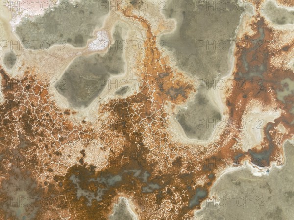 Salt marsh at the Skeleton Coast. Aerial view. Drone shot. Dorob National Park, Namibia