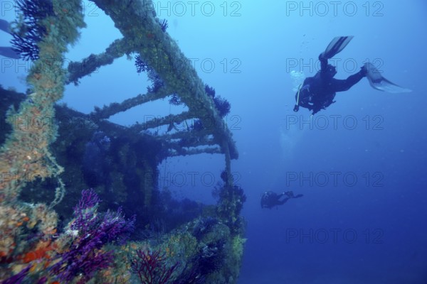 Divers explore a shipwreck in deep, clear water. Dive site wreck Le Grecq, Giens peninsula, Mediterranean Sea, Provence Alpes Côte d'Azur, France