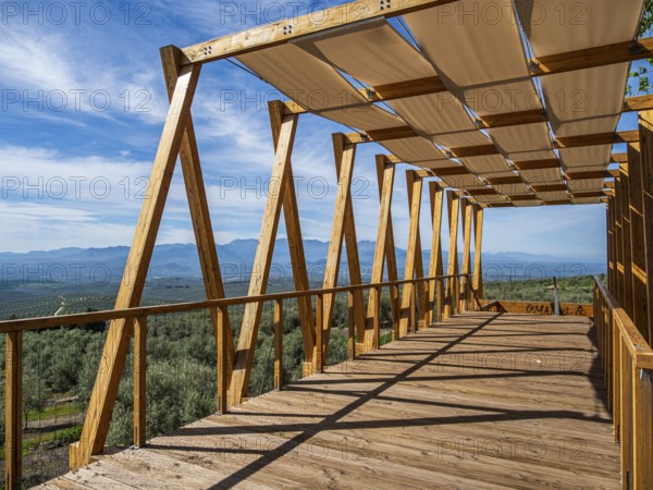 Wooden viewing platform, city Ubeda, view over endless olive tree fields to distant mountains, Ubeda, Andalusia, Spain