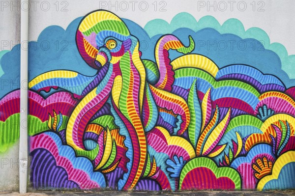 Octopus graffiti in Le Verdon-sur-Mer, Nouvelle-Aquitaine, Gironde, France