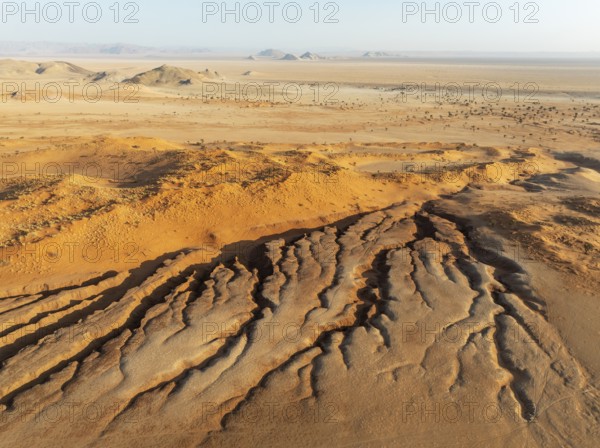 Canyon, sand dunes and camelthorn trees (Vachellia erioloba) in the Tsondab Valley in the Namib Desert. In the distance the Tsondab Valley Lodge. Aerial view. Drone shot. Namibia