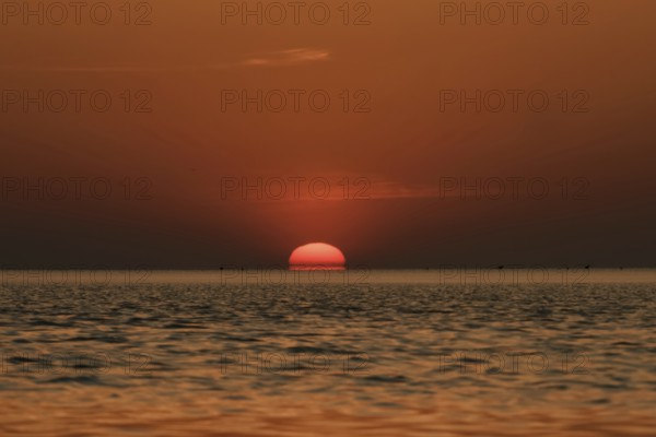 When the red sun sinks into the sea... Cuxhaven, North Sea, sunset in calm weather, glowing red fireball, sun sets fiery red over the sea, sinks into the sea, atmospheric picture, local nature, Lower Saxony Wadden Sea National Park, North Sea near Cuxhaven, Duhnen, Lower Saxony, Germany, Western Europe