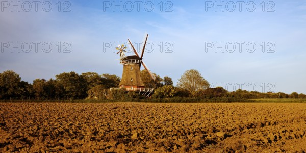 Traditional windmill in Oldsum, Föhr, North Frisia, Germany
