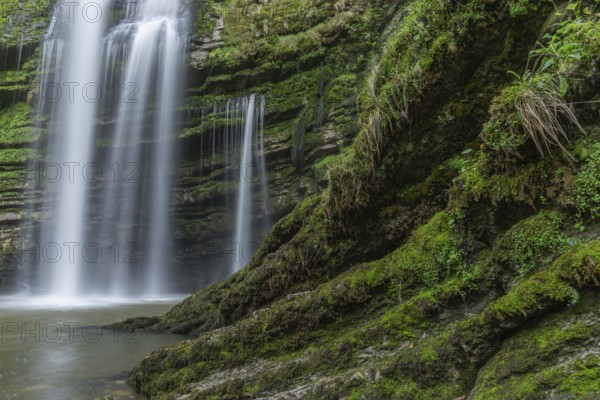 Two beautiful waterfalls flow gracefully into a tranquil pool lined with vibrant green foliage. This tranquil, natural spot invites you to explore and relax in the wilderness. cascades du Flumen, st Claude, jura, France