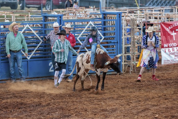 Young boy participating in a steer riding event during the Hardin County Fair Rodeo in Savannah, Tennessee