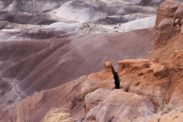 Colorful deposits of the Chinle Formation exposed at Little Painted Desert County Park near Winslow, Arizona