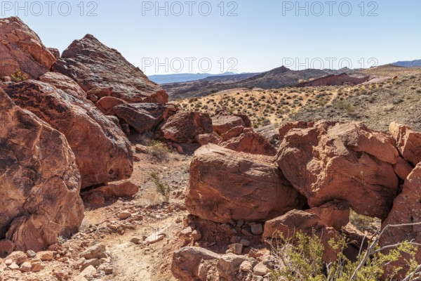 Red sandstone boulders along a trail at Valley of Fire State Park near Overton, Nevada