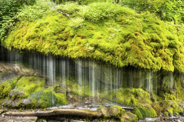 The Dietfurt waterfall, moss and stones, long exposure, Wutach Gorge, Black Forest, Baden-Württemberg, Germany