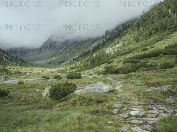 Historic mule track, Windbachtal, Krimmler Tauern, Pinzgau, Salzburg, Austria