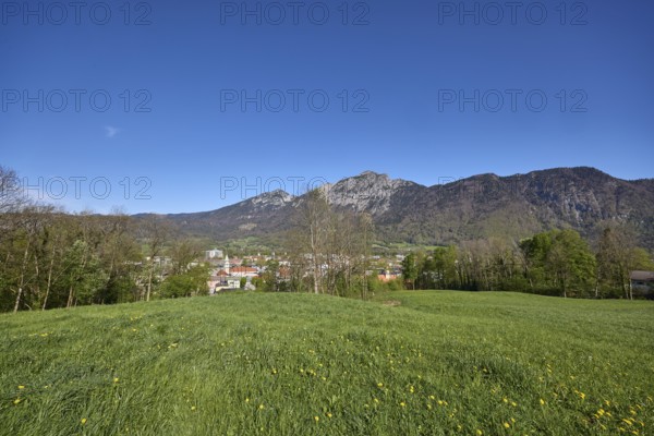 Total views, mountain landscape, mountains, trees, coniferous forest, blue sky, cloudless, Bad Reichenhall, district Berchtesgadener Land, Bavaria, Germany