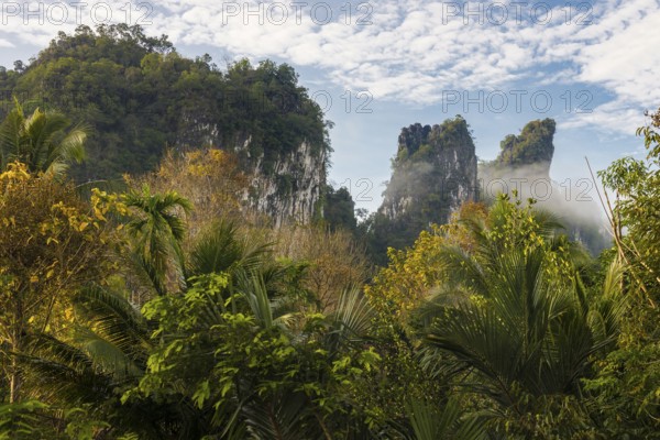 Jungle and rainforest with steep mountains, Khao Sok National Park, Phang Nga, Surat Thani, Thailand
