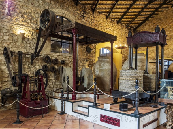 Museo del Aceite, olive oil museum and shop, village Cabra, Andalusia, Spain
