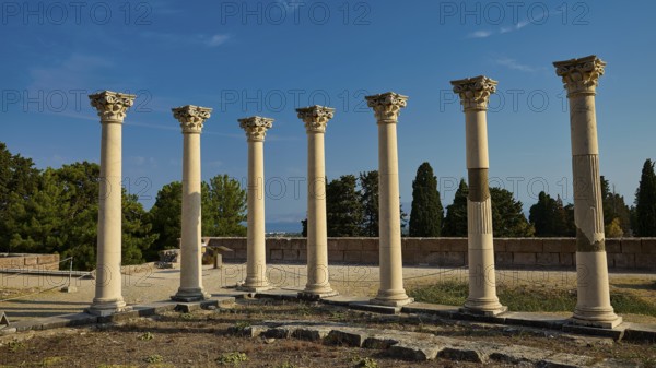 Six ancient columns with capitals in front of a clear sky, part of a historical site, Temple of Apollo, Corinthian Columns, Asklipion, Asklepieion, Healing Temple, Temple, Hippocrates, Kos, Dodecanese, Greek Islands, Greece