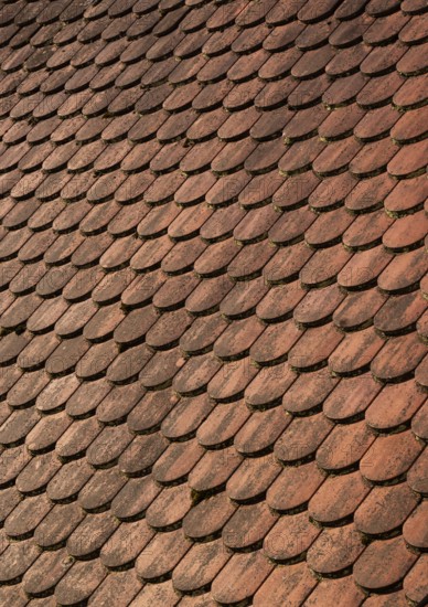 Red shingle roof, house roof, detail, Steyr, Upper Austria, Austria