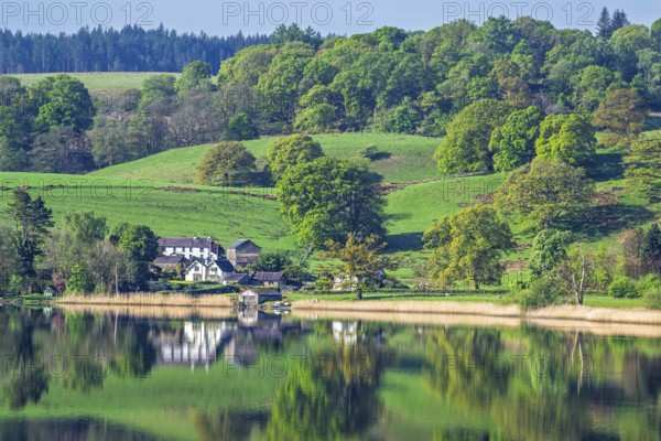 Farms over Esthwaite Water, Lake District National Park, Cumbria, England, United Kingdom