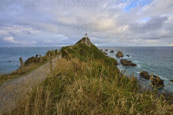 Path leading to a lighthouse on a cliff overlooking the sea under a cloudy sky, summer, Nugget Point Lighthouse, Ahuriri Flat, Otago, South Island, New Zealand