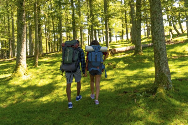 Couple enjoying hiking trip in lush green forest, carrying backpacks and holding hands, experiencing tranquility of nature