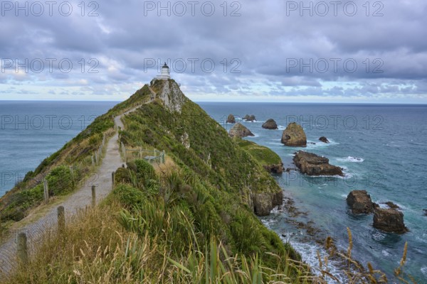 A path leads to a lighthouse on a grassy hill on a rocky coast, summer, Nugget Point Lighthouse, Ahuriri Flat, Otago, South Island, New Zealand