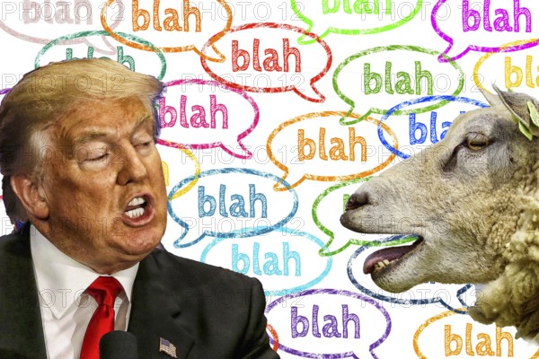 Symbolic image, Trump and sheep at blah-blah, governing by decree, no more United States, democracy versus autocracy, Donald Trump sees himself as a ruler above the law, US democracy in danger, political blackmail, EU and Germany under political pressure, industry, tariff threats, Elon Musk, Mark Zuckerberg, social networks, fake news, rights broken, hate, incitement, DSG Digital Services Act, re-election, USA, politics, announcements, vendetta, wanted dictator, Republicans, US electoral system, global danger, lies, 2nd term, Ukraine. term, global burden, Ukrainian war, White House storm
