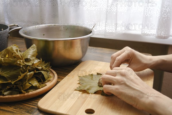 Grape leaves are carefully shaped and filled with a savory mixture in a warm kitchen. Female hands gently rolling vine leaf with ground meat while cooking dolma