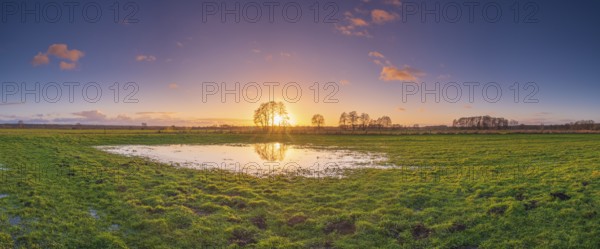 View of a puddle on a meadow at sunset, landscape photo, nature photo, flora, fauna, landscape format, panorama, pasture, grasses, lowland, sky, clouds, backlight, Neustadt am Rübenberge, Hanover region, Lower Saxony, Germany