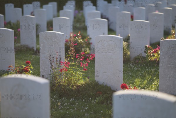 Gravestones, war graves, soldiers' graves, flowers, roses, British and German military cemetery, Cimetière militaire britannique, D-Day, Operation Overlord, Bayeux, Normandy, Calvados, France
