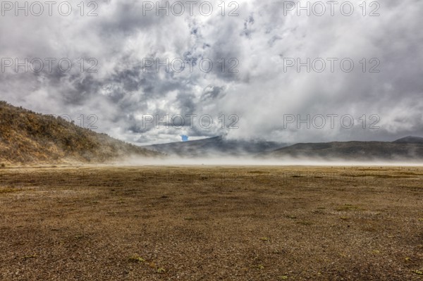 Fog, National Park, Cotopaxi, Ecuador