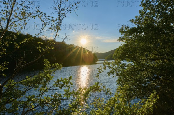 Sunshine through leaves over a calm lake, summer, Rursee, Obersee, Simmerath, Eifel National Park, North Rhine-Westphalia, Germany
