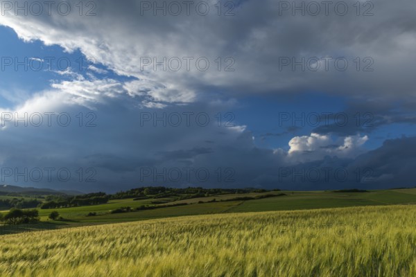 Dramatic cloudy sky with approaching storm and last rays of sunshine, Frankenhain, dark cloud wall, cumulonimbus and cumulus clouds, thunderstorm in the lift, low mountain landscape, agriculture, forest, grain field, backlight shot, municipality of Berkatal, Werra-Meissner-Kreis, Hesse, Germany