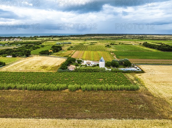 Fields and Grape plantations from a drone, Saint-Clement-des-Baleines, Atlantic, France