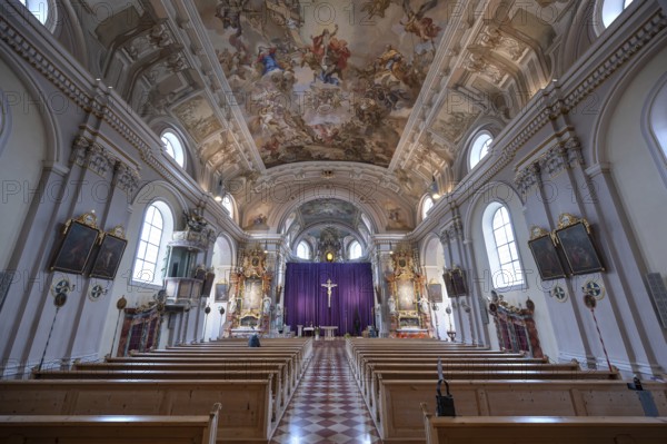 Interior with large purple Lenten cloth in front of the high altar, baroque parish church of St Nicholas, built between 1722 and 1724, Kirchacker 20, Tannheim, Austria
