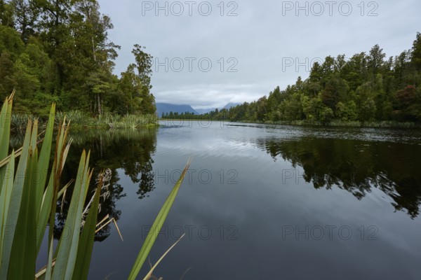 A still lake with shore and trees reflecting in the water under a cloudy sky, summer, Lake Matheson, Fox Glacier, South Island, New Zealand