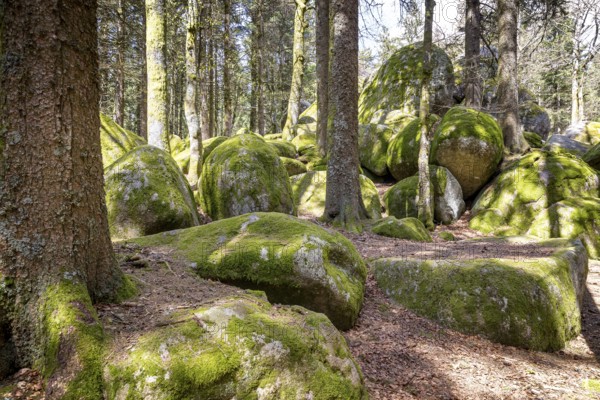 Granite rock Günterfelsen near the source of the Danube, Furtwangen in the Black Forest, Baden-Württemberg, Germany