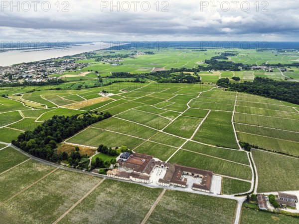 Chateau Pontet-Canet Vineyard and grape fields around Pauillac and Gironde Estuary from a drone, Bordeaux, Gironde, Nouvelle-Aquitaine, France