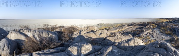 View over the salt pan of Kubu Island with round rocks, African baobab (Adansonia digitata), Kubu Island (Lekubu), Sowa Pan, Makgadikgadi Salt Pans, Botswana