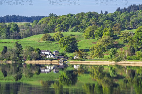 Farms over Esthwaite Water, Lake District National Park, Cumbria, England, United Kingdom