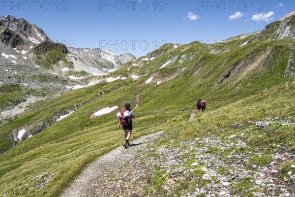 Mountaineers on a hiking trail, Lasörling Höhenweg, Lasörling Group, Hohe Tauern National Park, East Tyrol, Tyrol, Austria