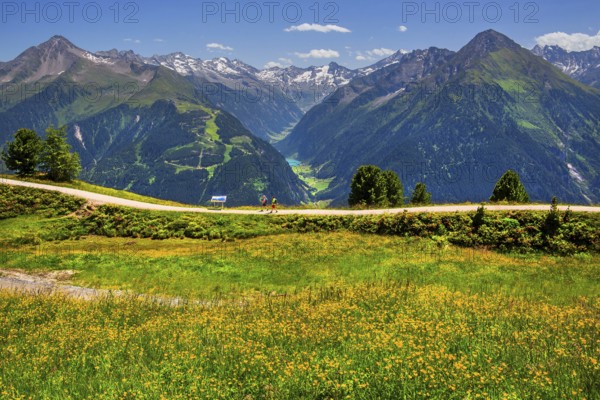 Hiking trail on the Penken with a view of the Stilluptal, Mayrhofen, Zillertal, Zillertal Alps, Tyrol, Austria