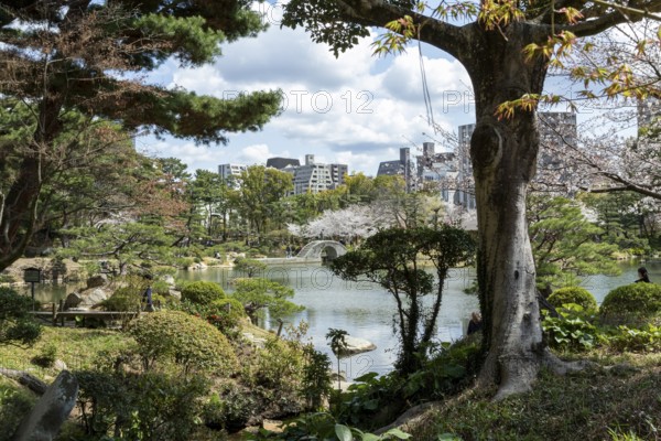 Shukkei-en with green plants, trees and Takuei-chi pond in spring, historical Japanese strolling garden, Japanese garden, green area, tourist attraction, sight, Naka-ku, Hiroshima, Japan