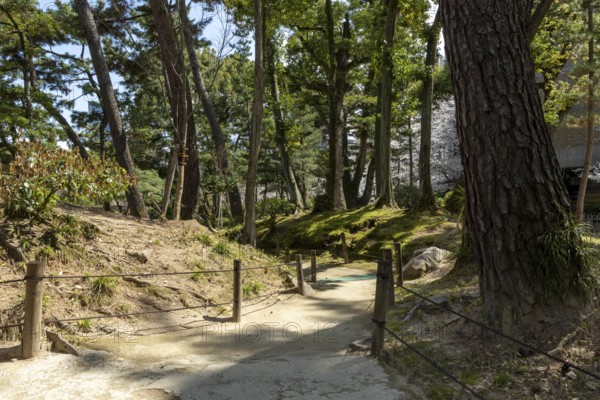 Path with trees in Shukkei-en, historical Japanese strolling garden, Japanese garden, green area, tourist attraction, sight, Naka-ku, Hiroshima, Japan