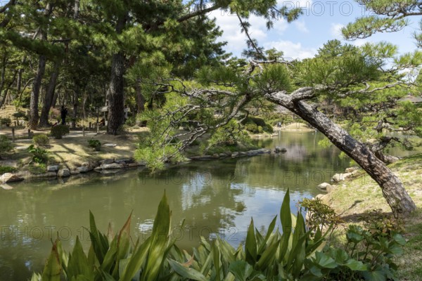 Shukkei-en with green plants, trees and Takuei-chi pond in spring, historical Japanese strolling garden, Japanese garden, green area, tourist attraction, sight, Naka-ku, Hiroshima, Japan