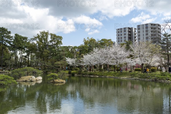 Shukkei-en with blossoming cherry trees, sakura, and Takuei-chi pond in spring, historic Japanese strolling garden, Japanese garden, green area, tourist attraction, sight, Naka-ku, Hiroshima, Japan