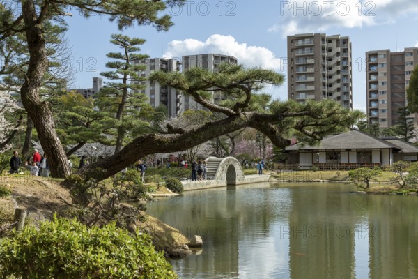 Shukkei-en with Seifukan teahouse and Koko-kyo stone bridge over Takuei-chi pond in spring, historical Japanese strolling garden, Japanese garden, green area, tourist attraction, sight, Naka-ku, Hiroshima, Japan