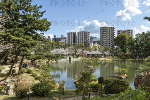 Shukkei-en with blossoming cherry trees, Sakura, Seifukan teahouse and Koko-kyo stone bridge over Takuei-chi pond in spring, historical Japanese strolling garden, Japanese garden, green area, tourist attraction, sight, Naka-ku, Hiroshima, Japan