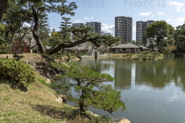 Shukkei-en with blossoming cherry trees, Sakura, Seifukan teahouse and Koko-kyo stone bridge over Takuei-chi pond in spring, historical Japanese strolling garden, Japanese garden, green area, tourist attraction, sight, Naka-ku, Hiroshima, Japan