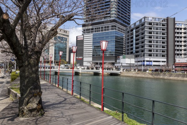 Tourist attraction, landmark, lanterns on the promenade and historic Enkobashi stone bridge over the Enko River, Enko-bashi Bridge, built in 1926, restored in 2016 for the 70th anniversary of the atomic bombing, Enkobashicho, Minami Ward, Hiroshima, Japan